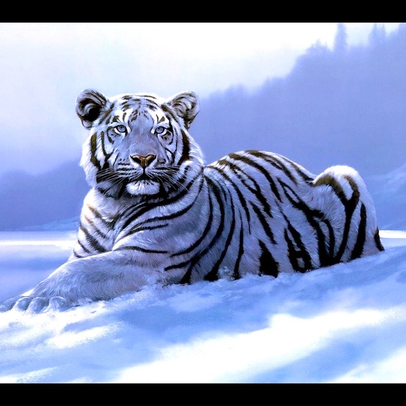 Meet your Posher, Christopher - Picture 2 of 7